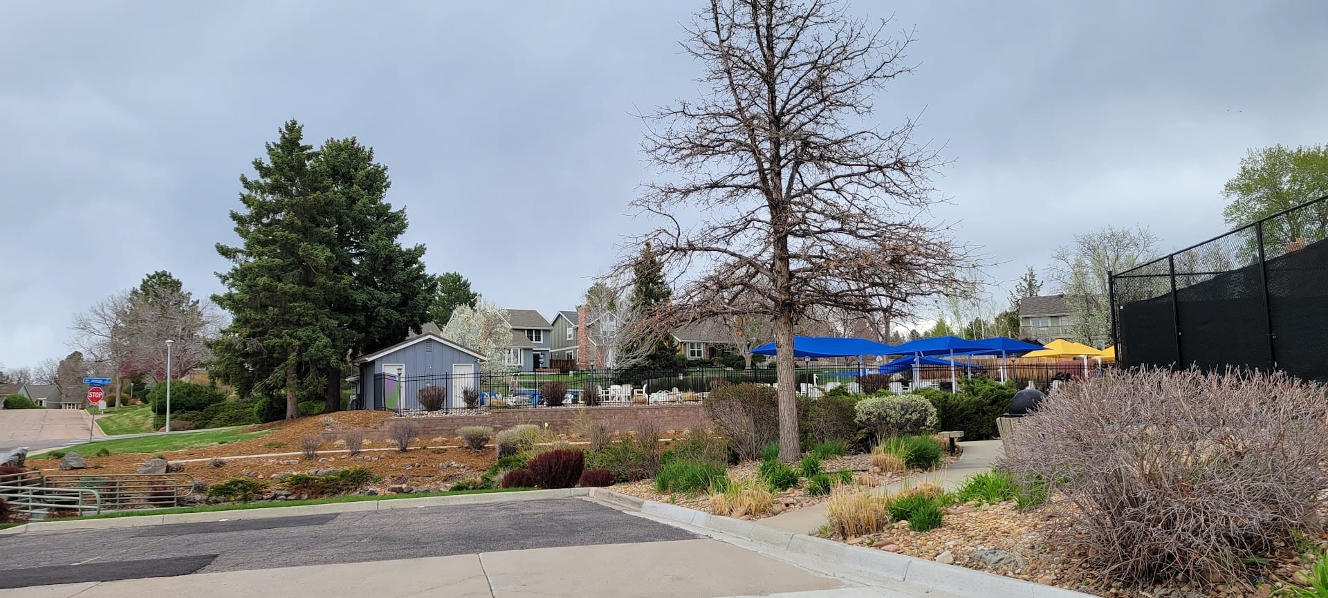 Willow Creek Pool, photo 4