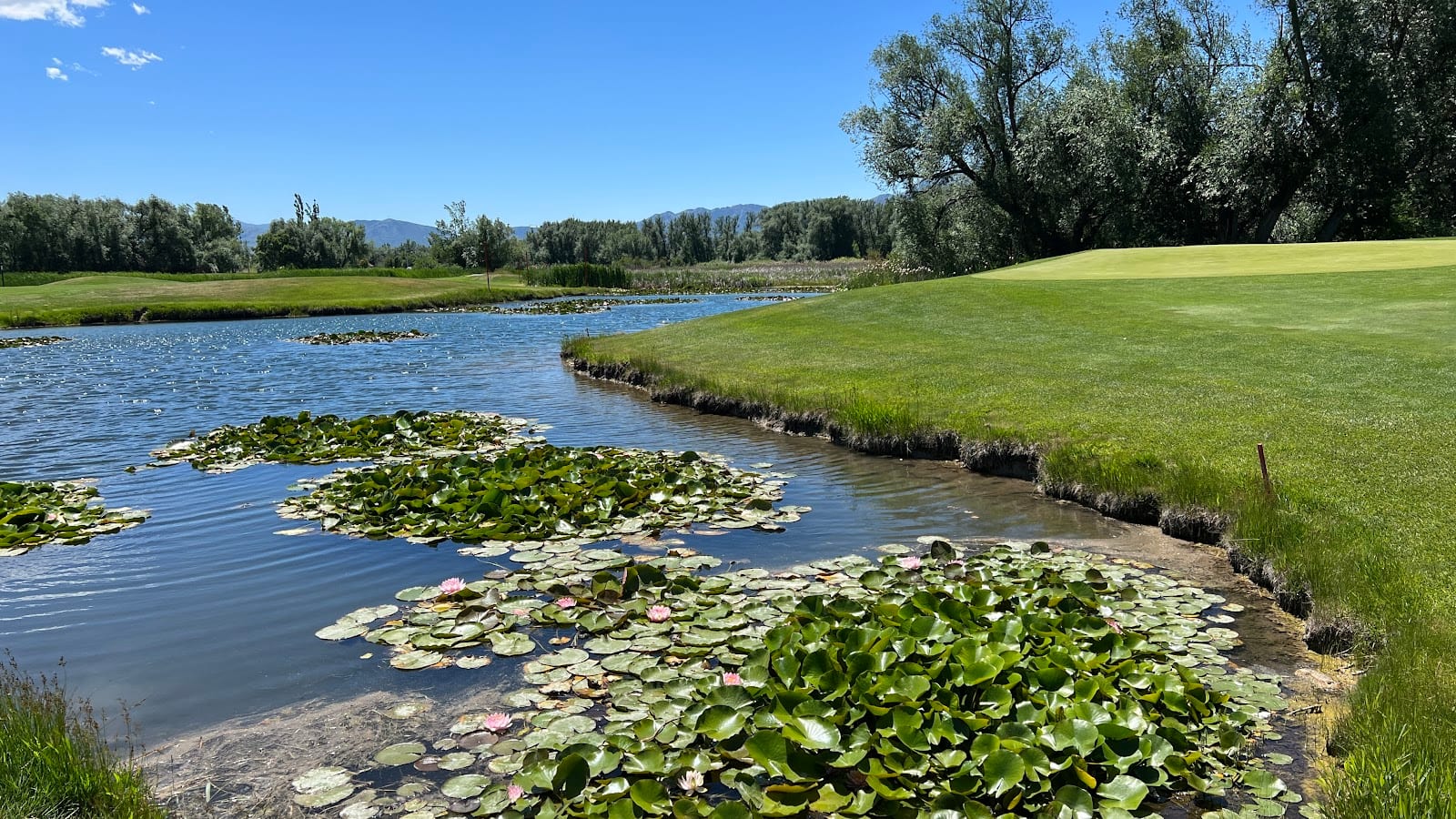 Logan River Golf Course, photo 3
