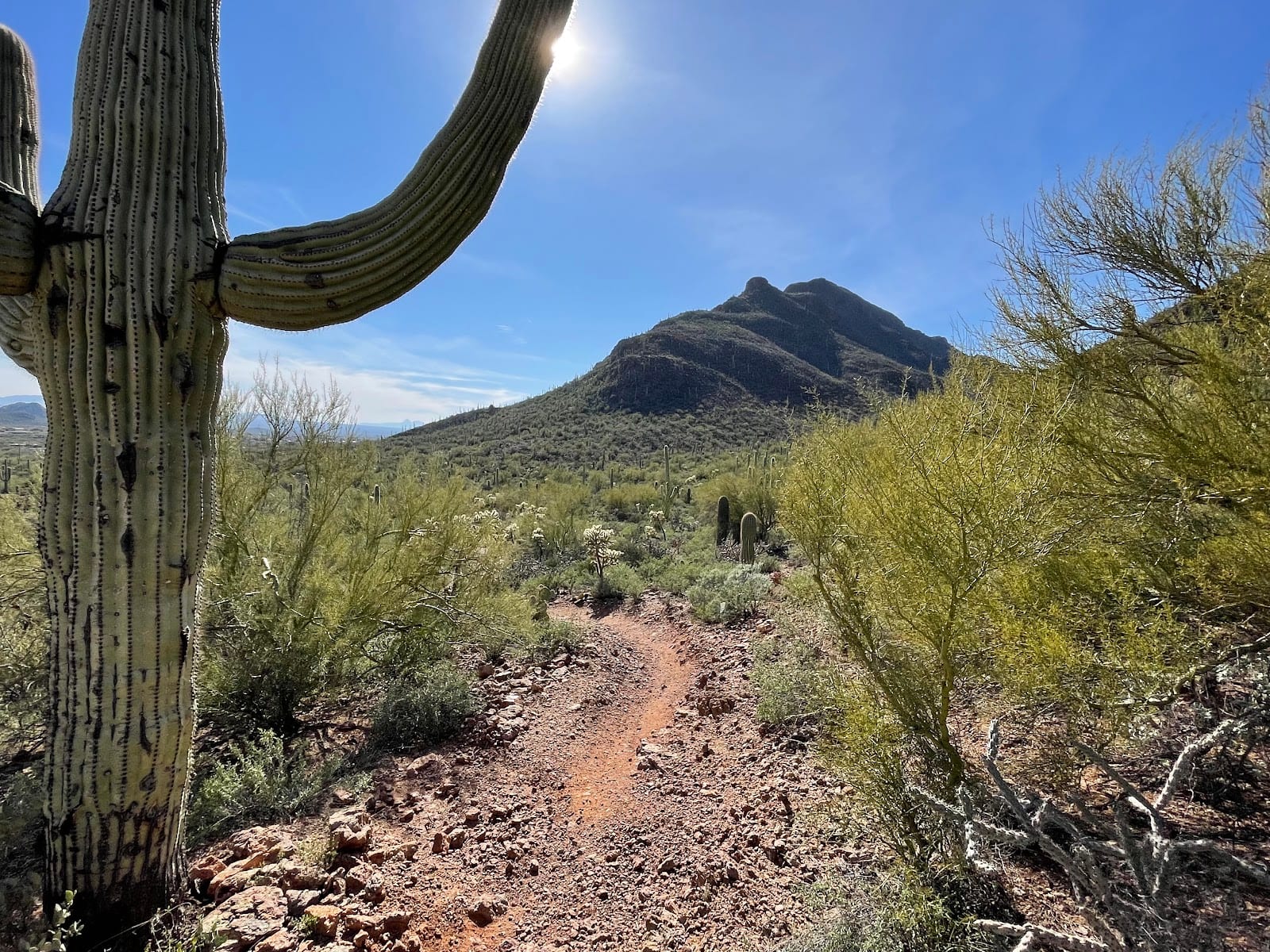 Explorer Trailhead
