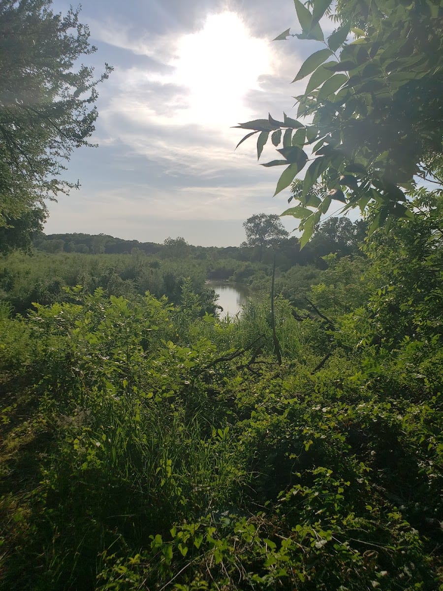 Cross Timbers Trail Head