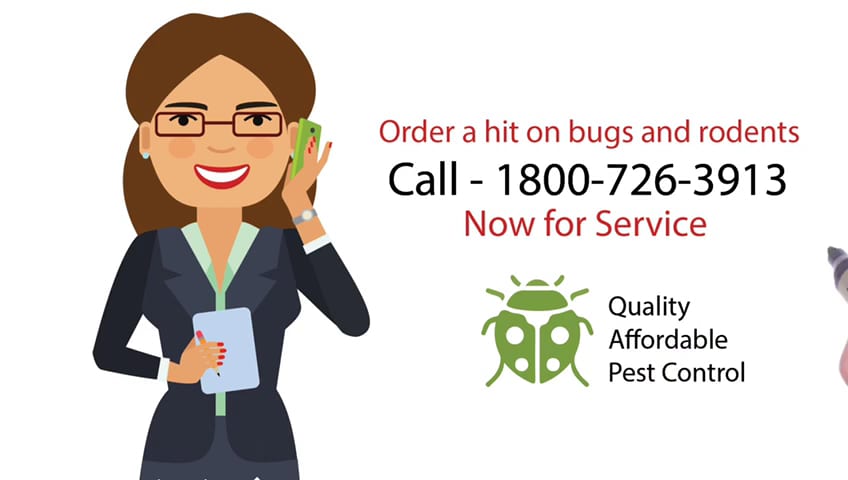 Q.A.P Pest control Richmond hill, photo 3