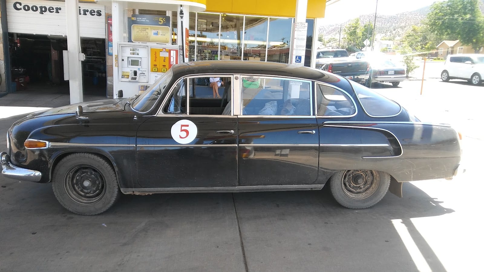 Shell, photo 4