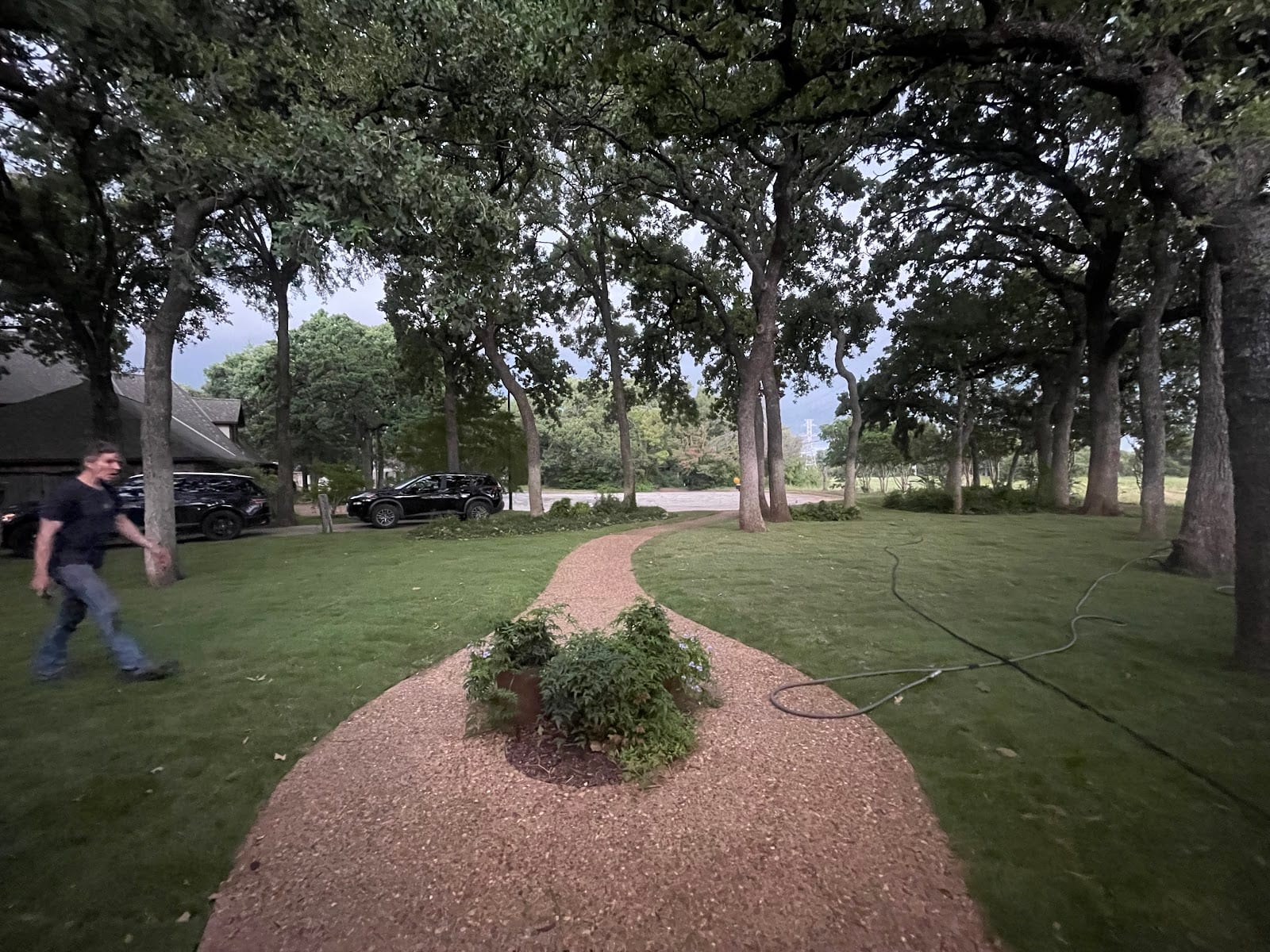 Grass DFW • SOD Wholesale in Dallas, photo 4