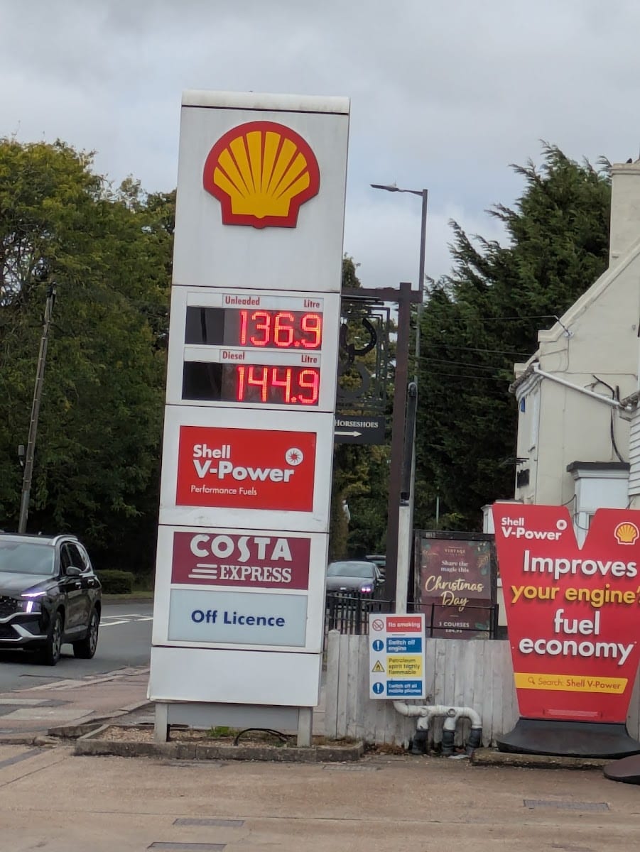 Shell, photo 4