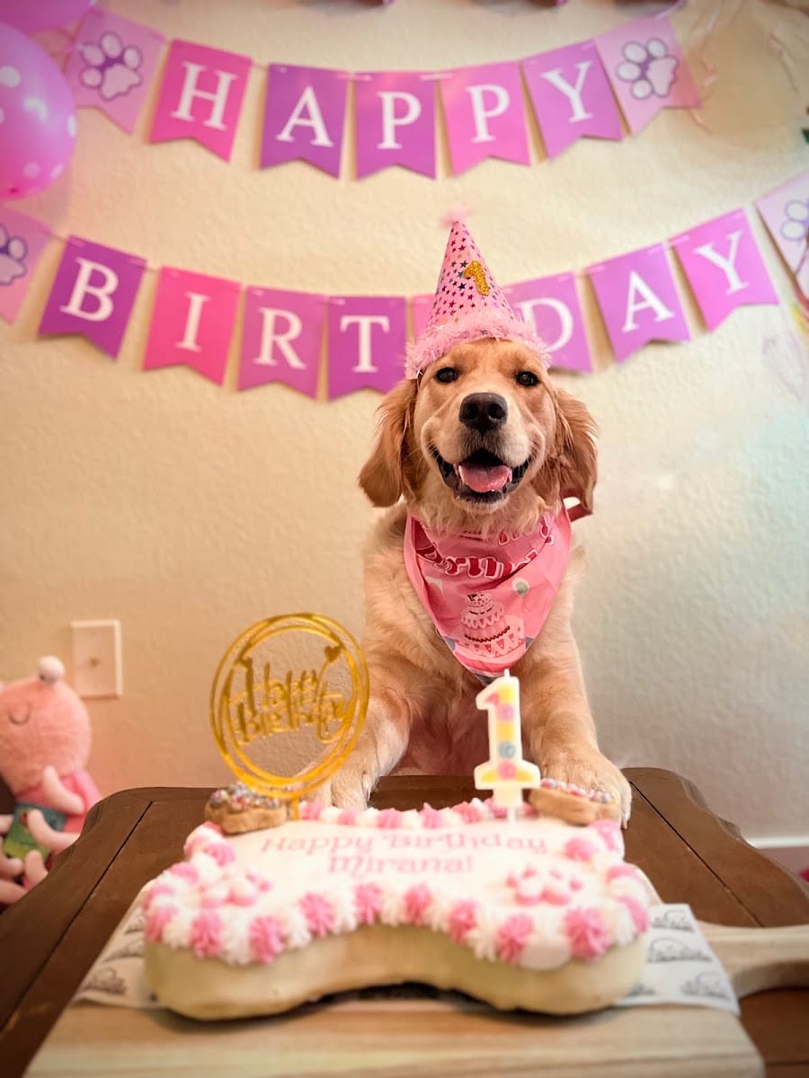 Dogs-N-Donuts, photo 4