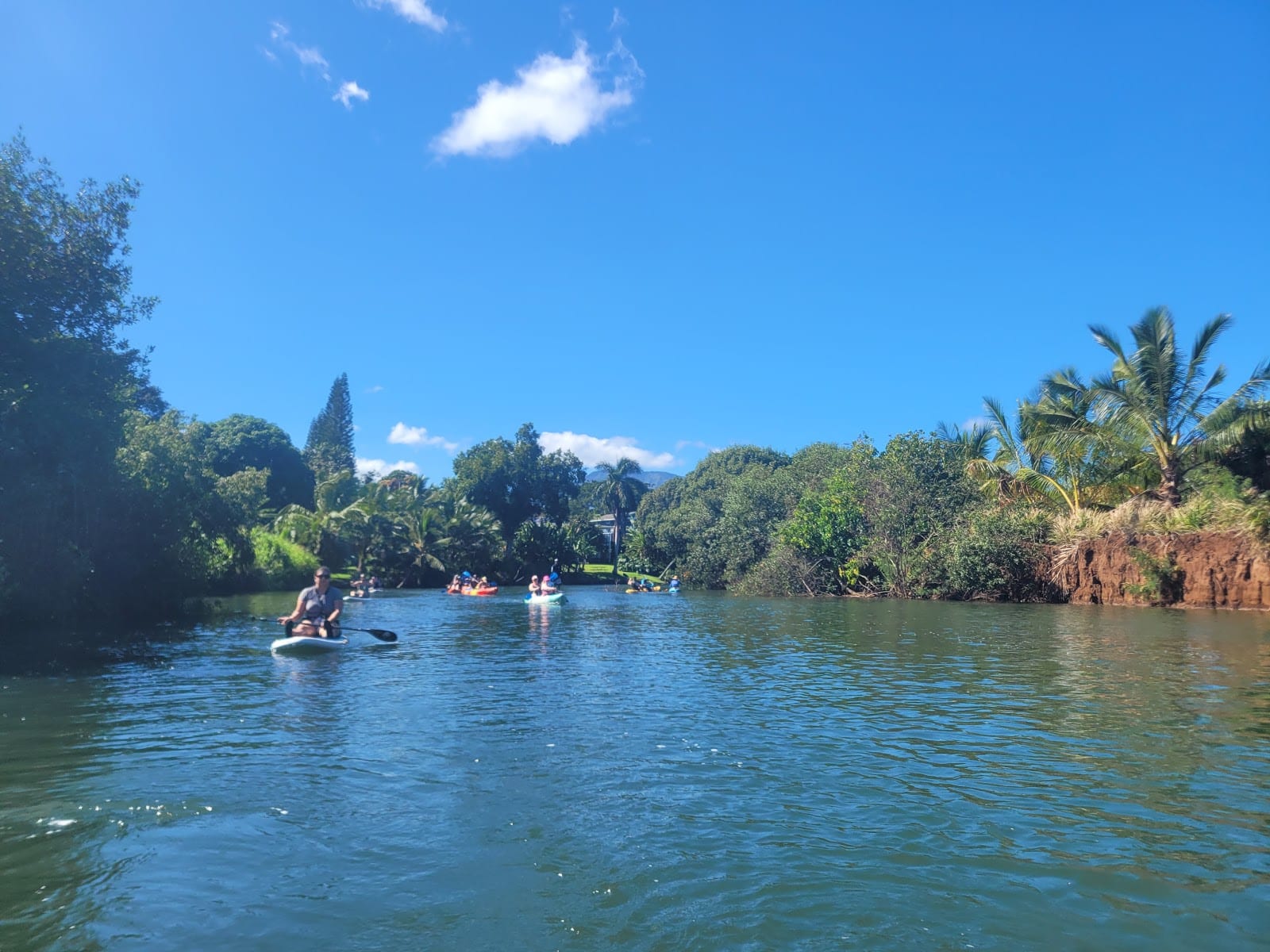Tsue's Farm Haleiwa