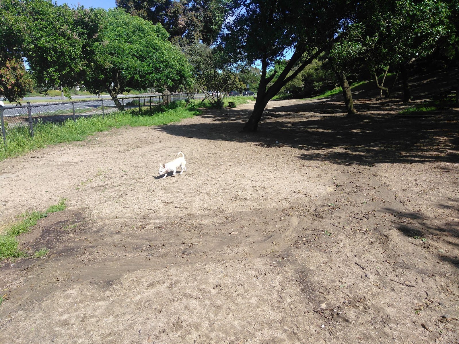 Brotherhood & Alemany Dog Play Area