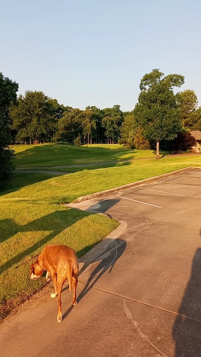 Chenal Country Club, photo 3