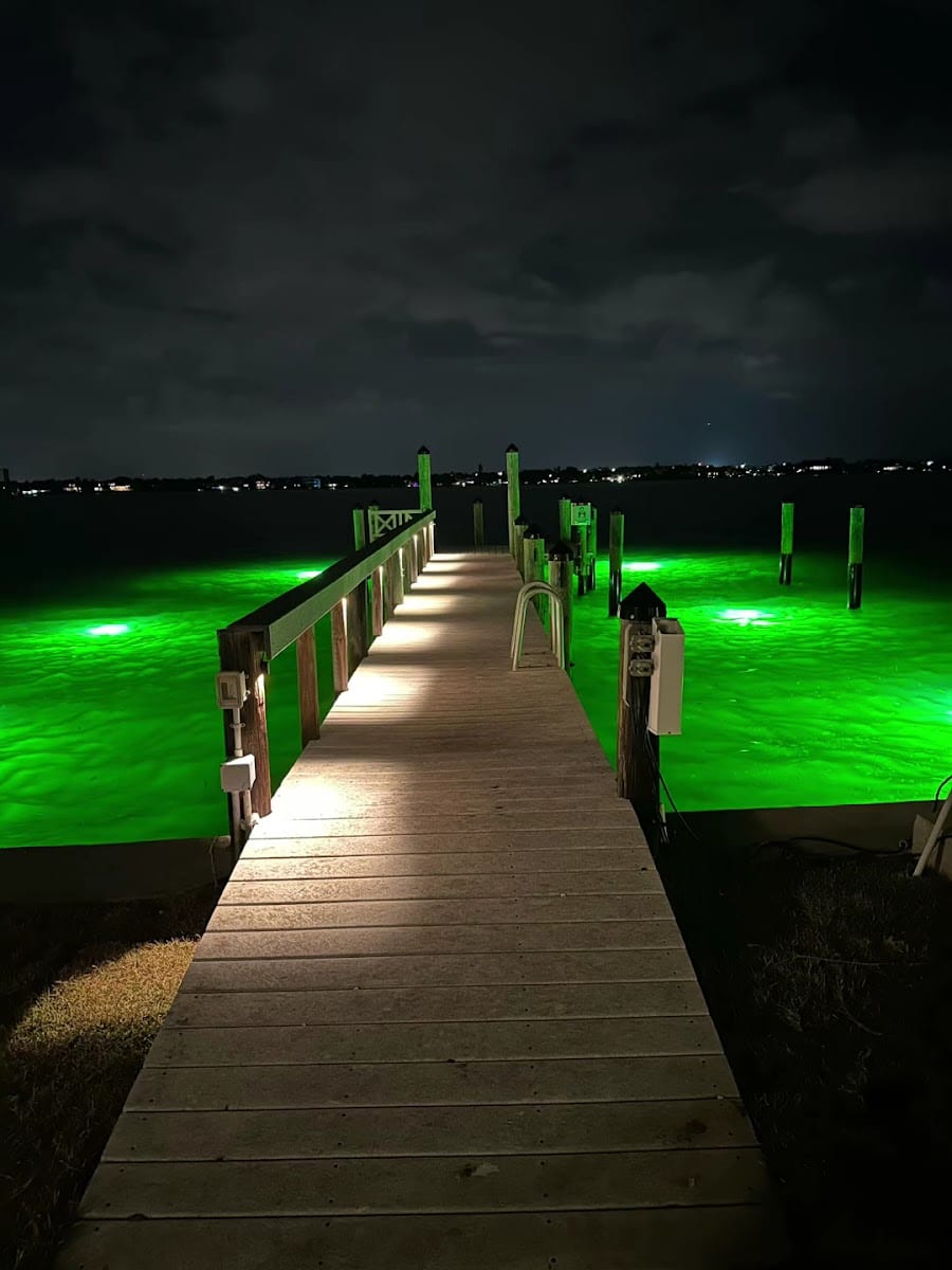 Sarasota Landscape Lighting, photo 3