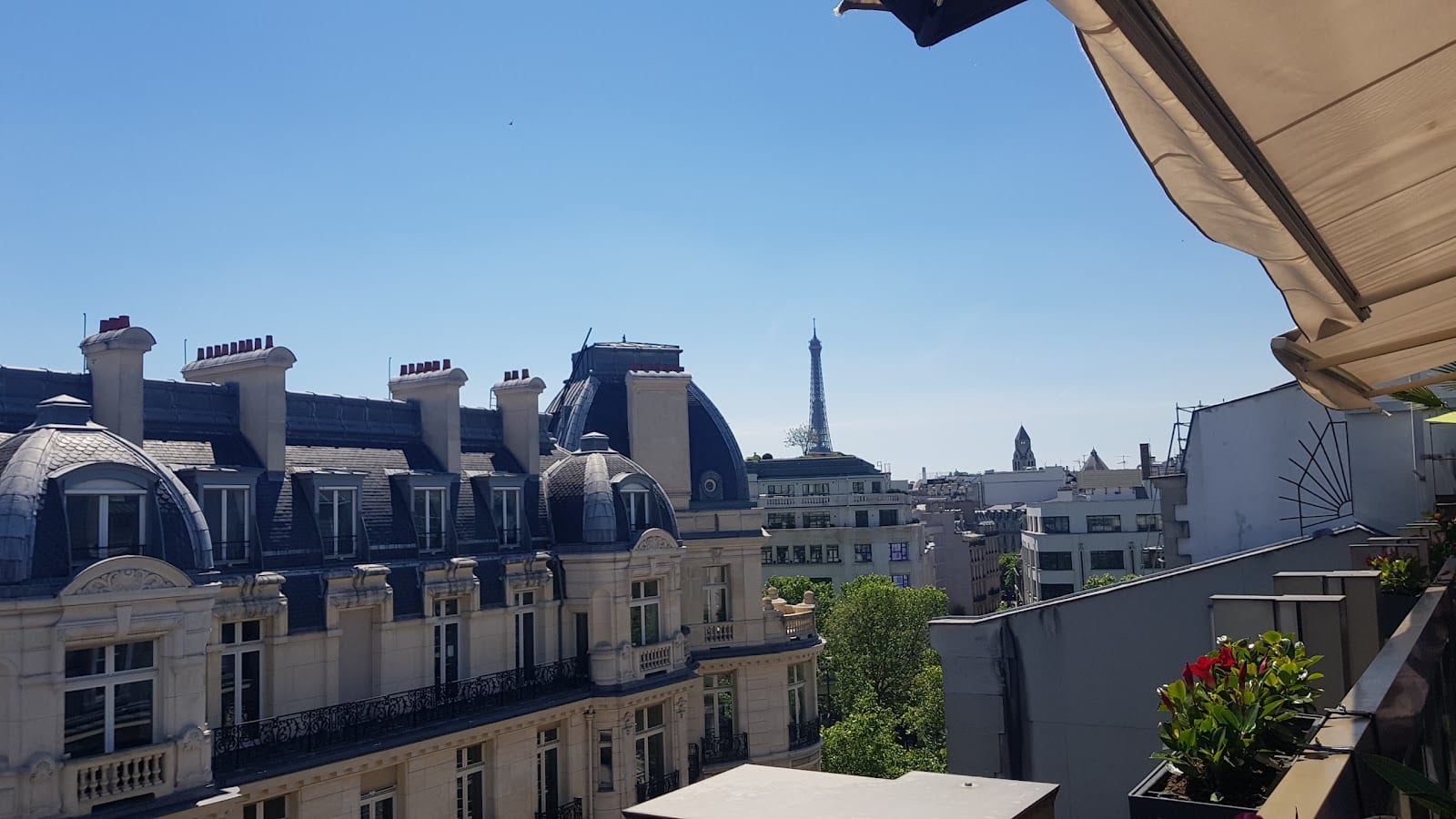 W Terrasse Bar, photo 2