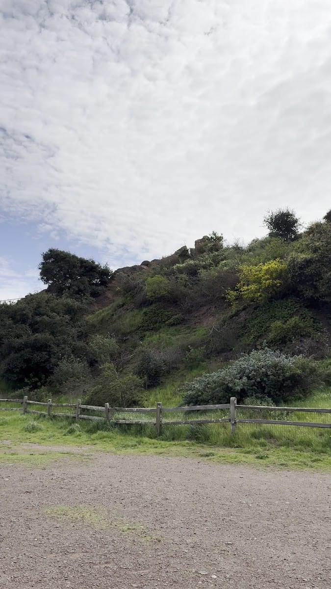 Corona Heights Dog Run, photo 2
