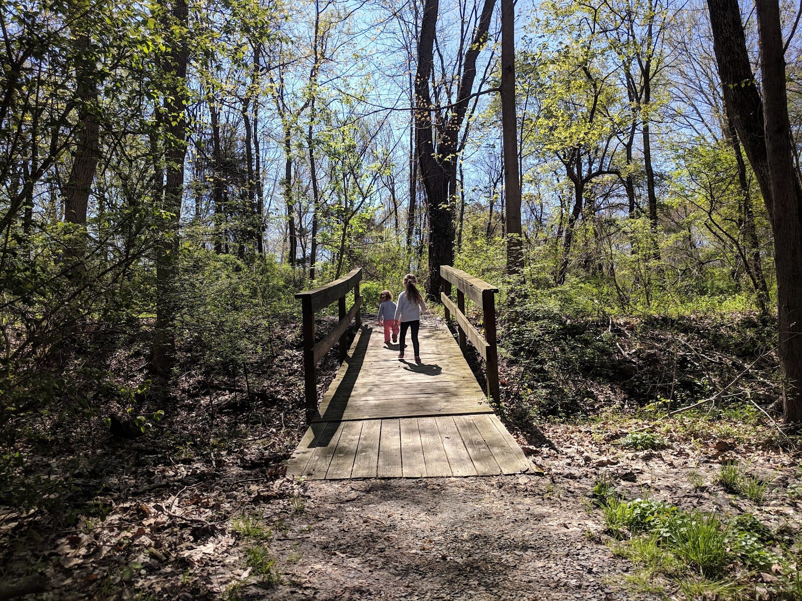 Sauerman Park