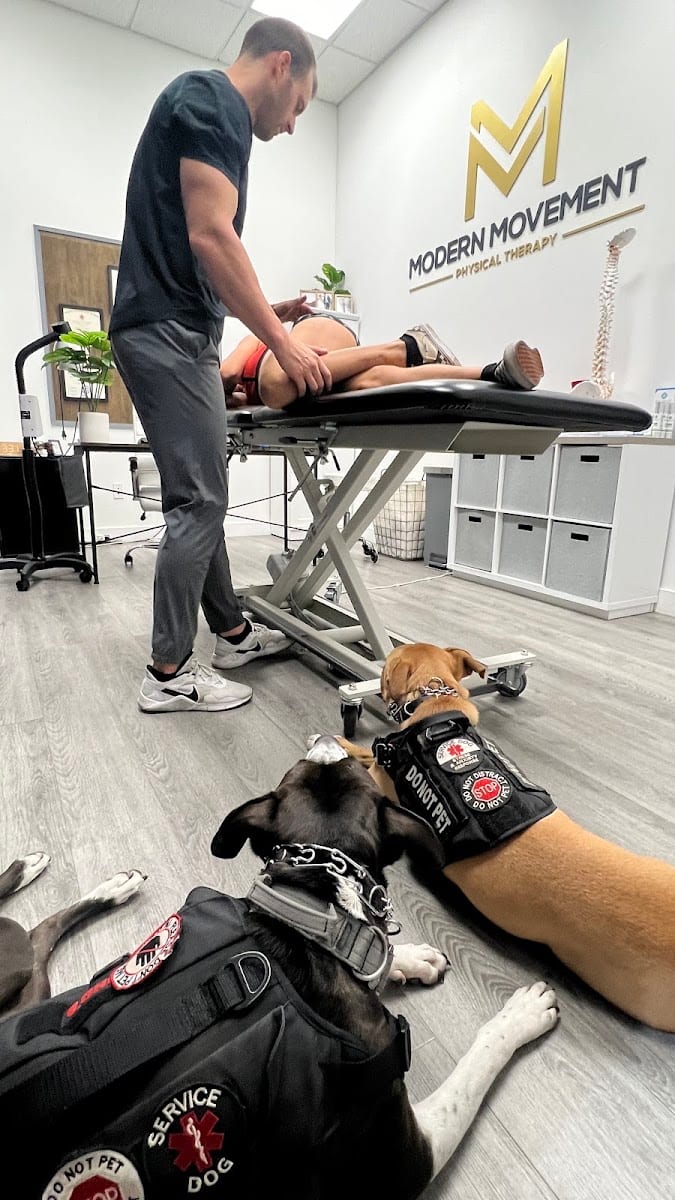 Modern Movement Physical Therapy, photo 4