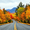 Jay Zabihi, Richmond Hill Realtor & Property Manager – RE/MAX Hallmark Realty Agent