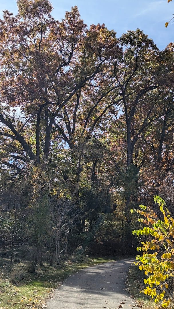 Spring Lake, photo 3