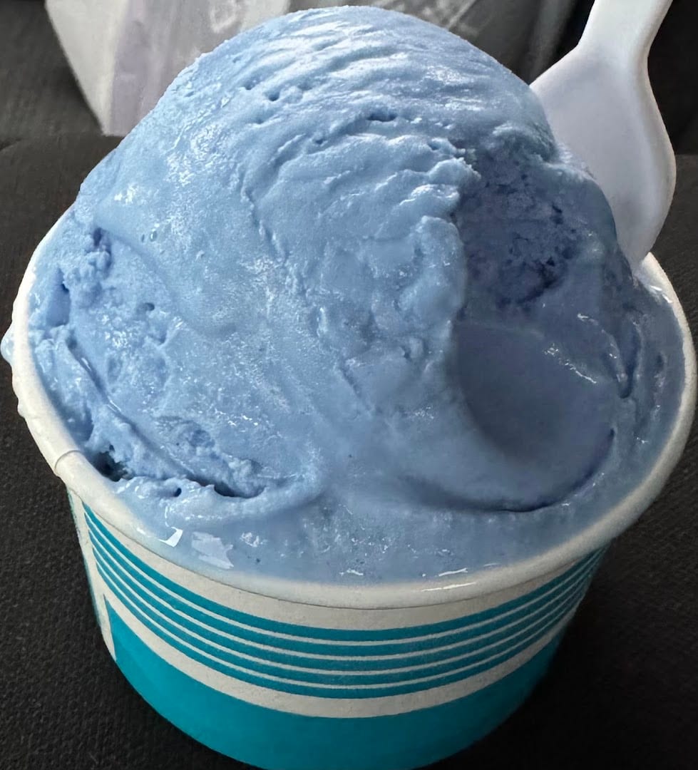 True North Ice Cream, photo 2