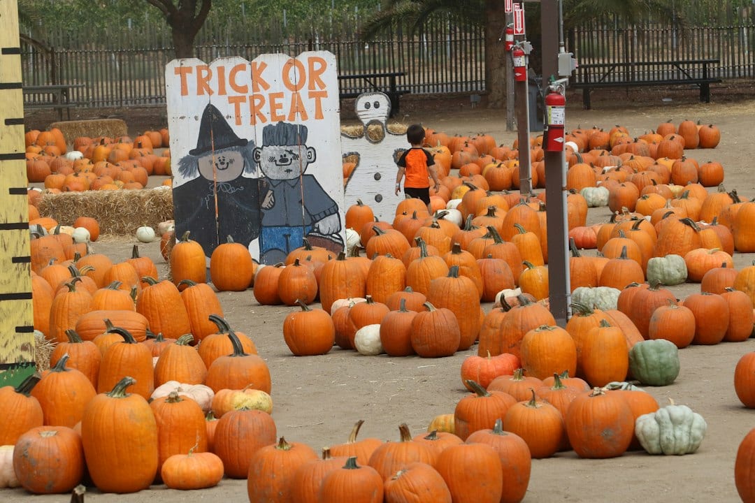 Halloween Events in Charlotte 2026: Trick-or-Treating, Haunted Attractions & Family Fun