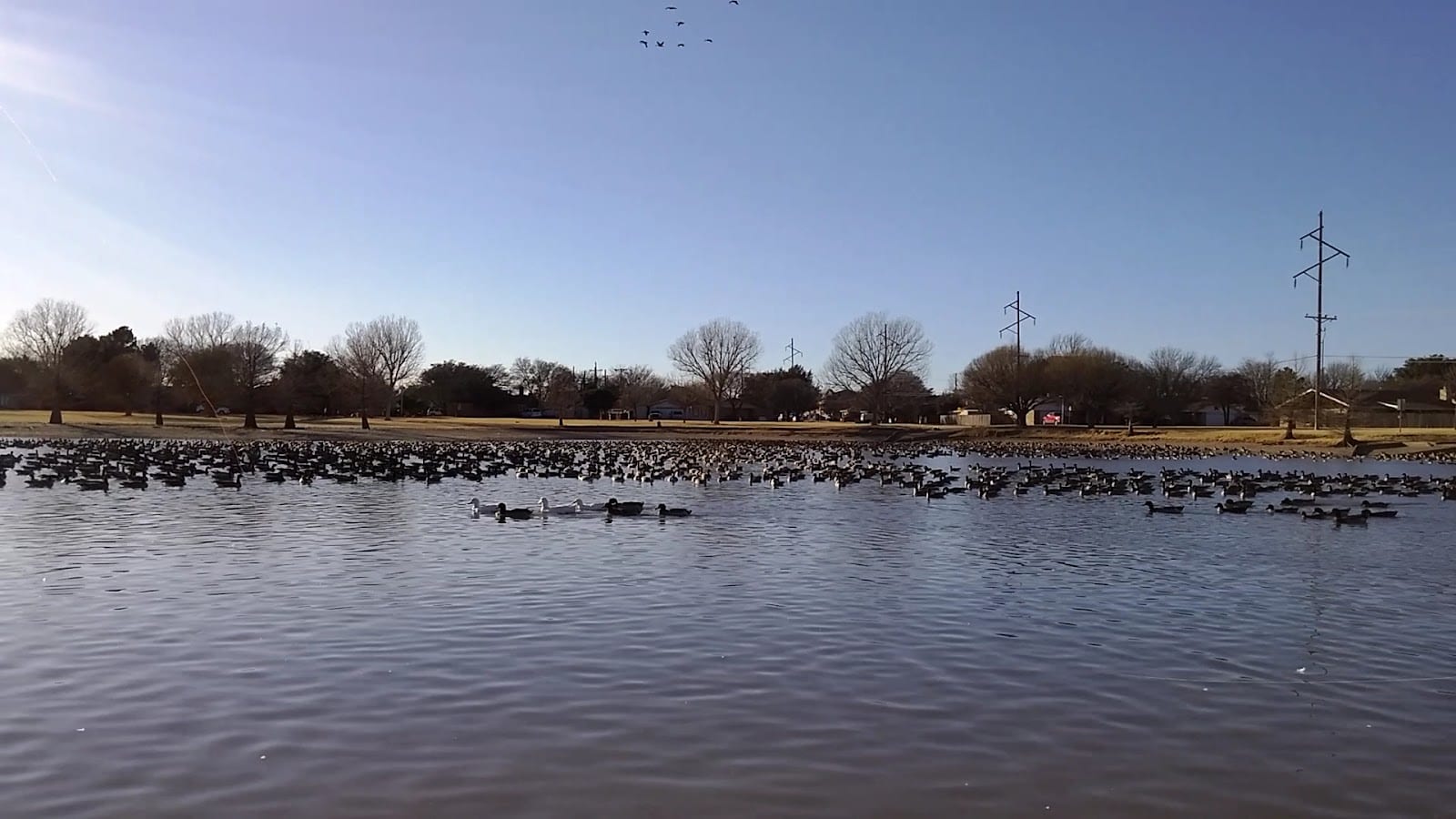 Jan Jennings Park, photo 2