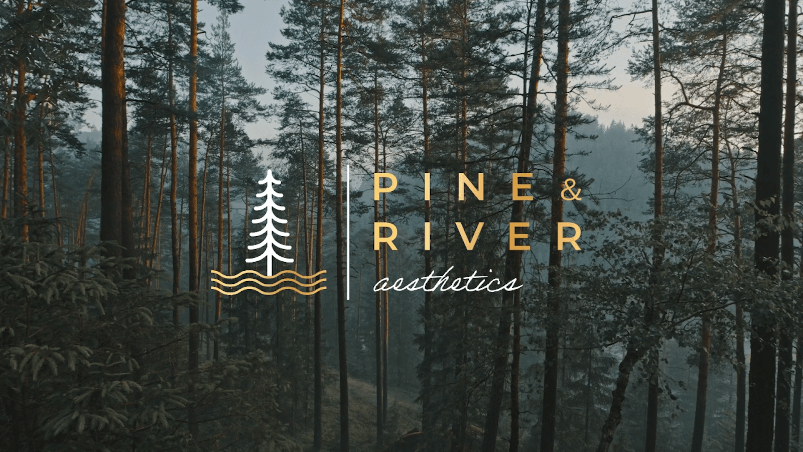Pine And River Aesthetics - Little Rock, photo 2