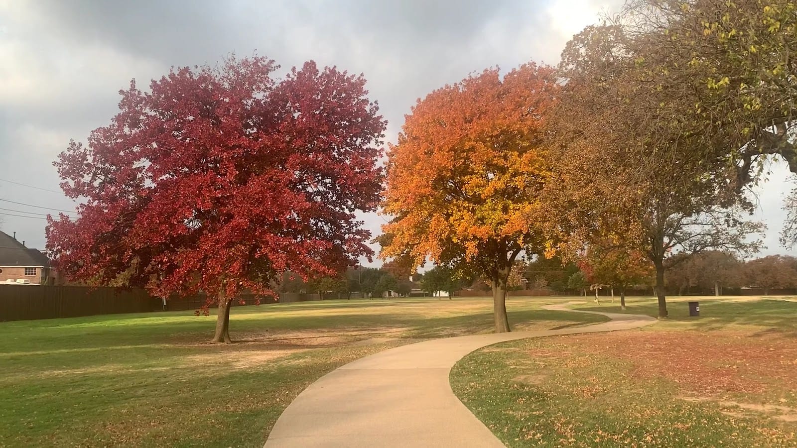 Thrive Nature Park, photo 3