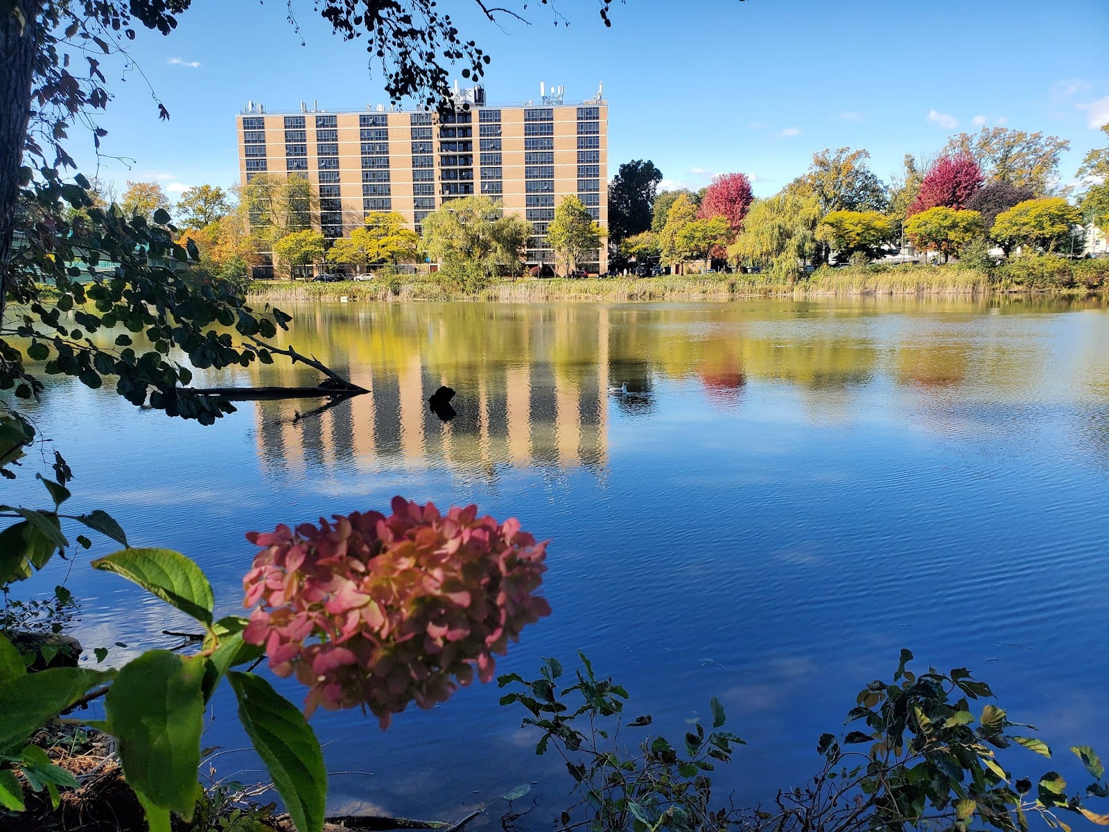 Bausch & Lomb Riverside Park