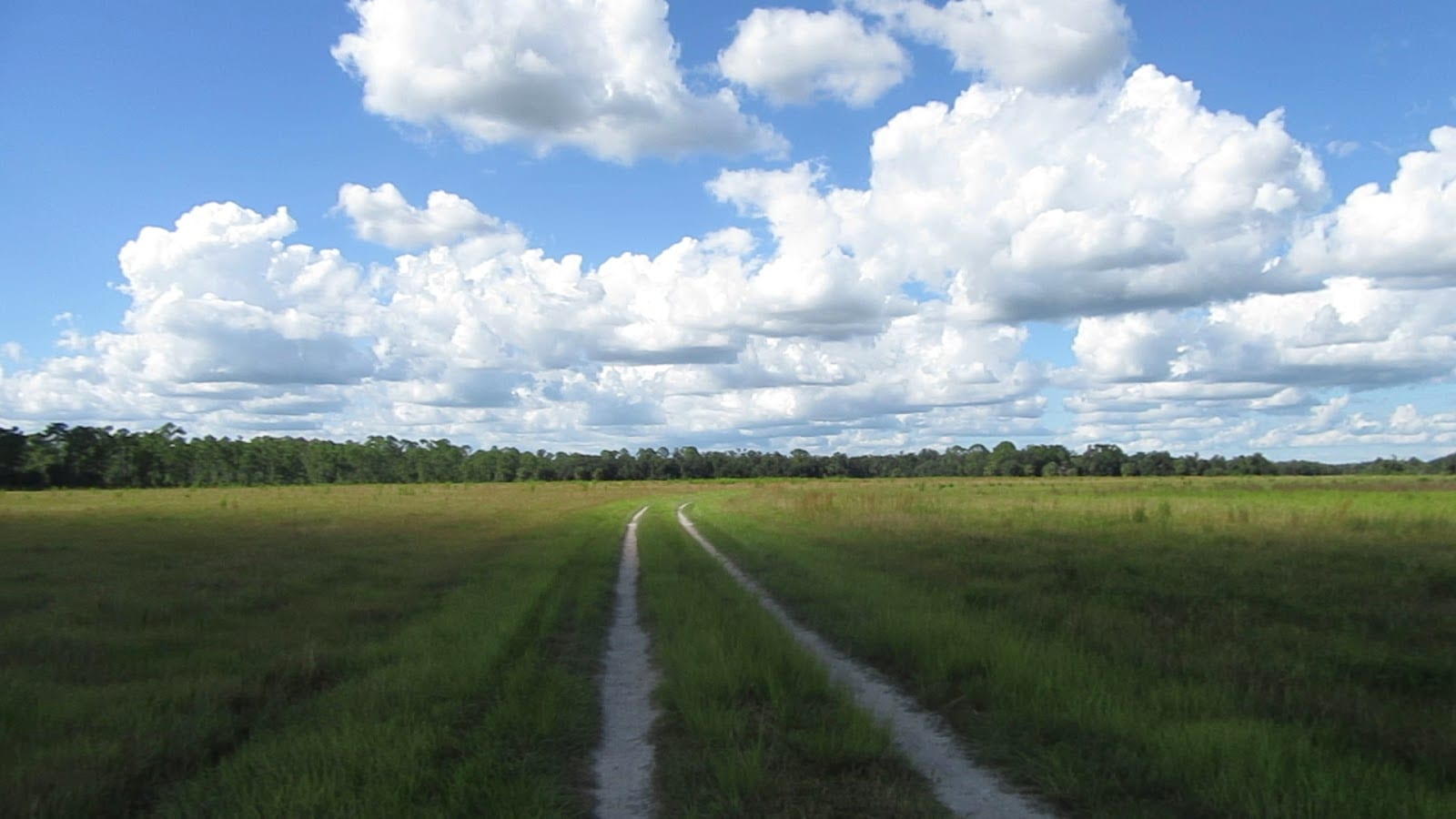 Walton Ranch Preserve, photo 2