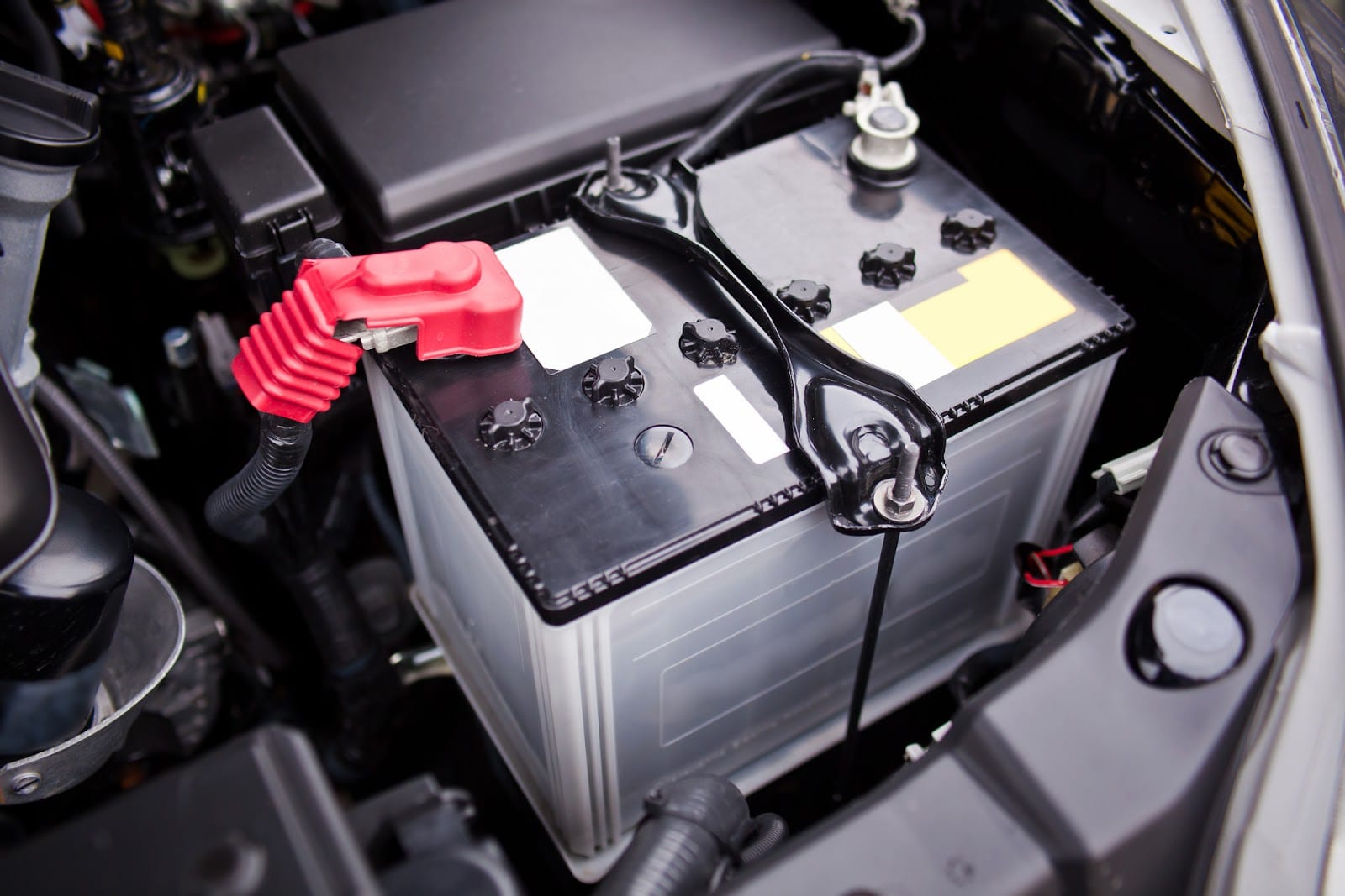 Your Battery Guy, photo 4