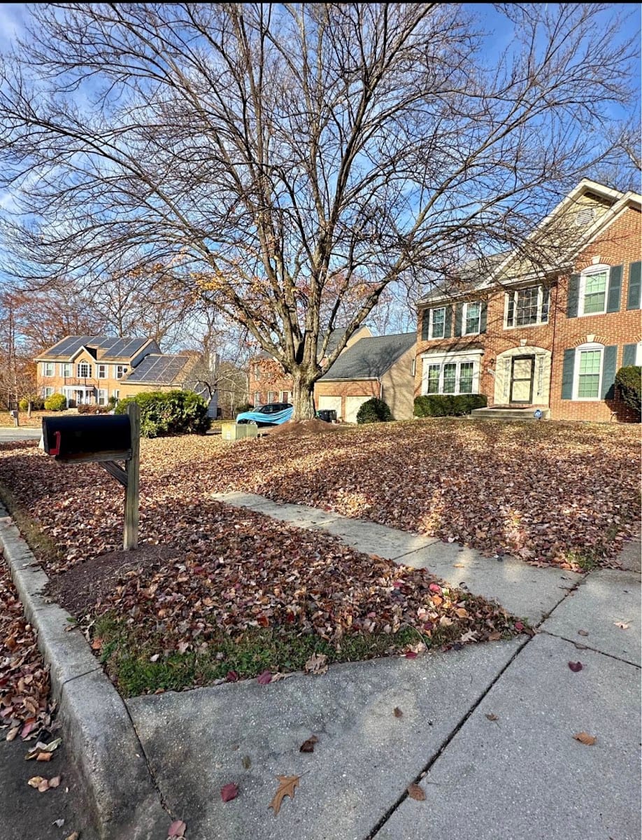 FLOY’D LANDSCAPING LLC, photo 4