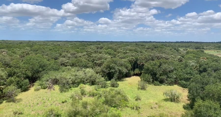 Myakka Canopy bridge/hiking trail parking lot and trail head, photo 2