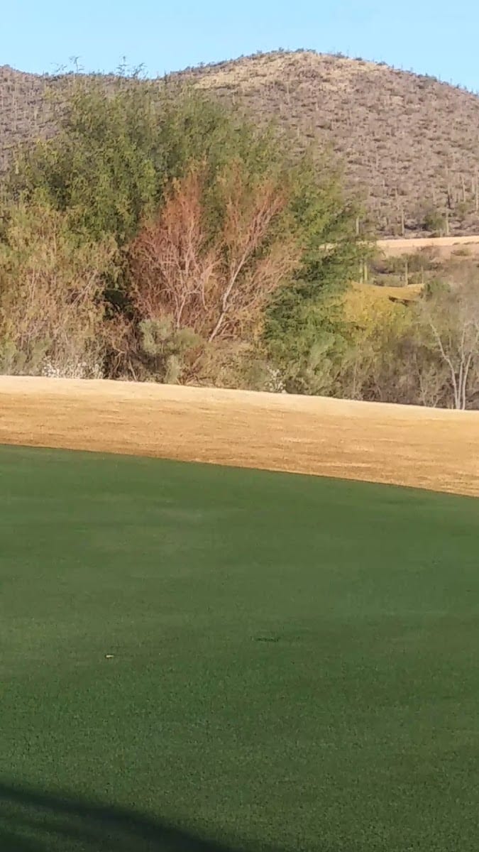 The Club at Starr Pass, photo 2