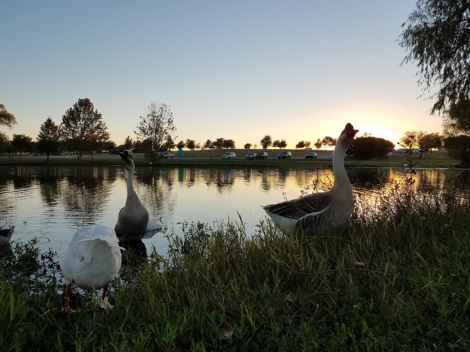 Old Settlers Park