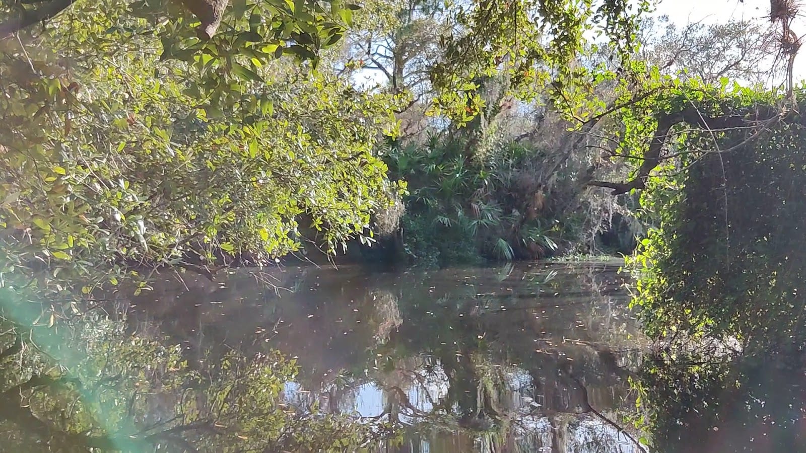 Deer Prairie Creek Preserve South, photo 2
