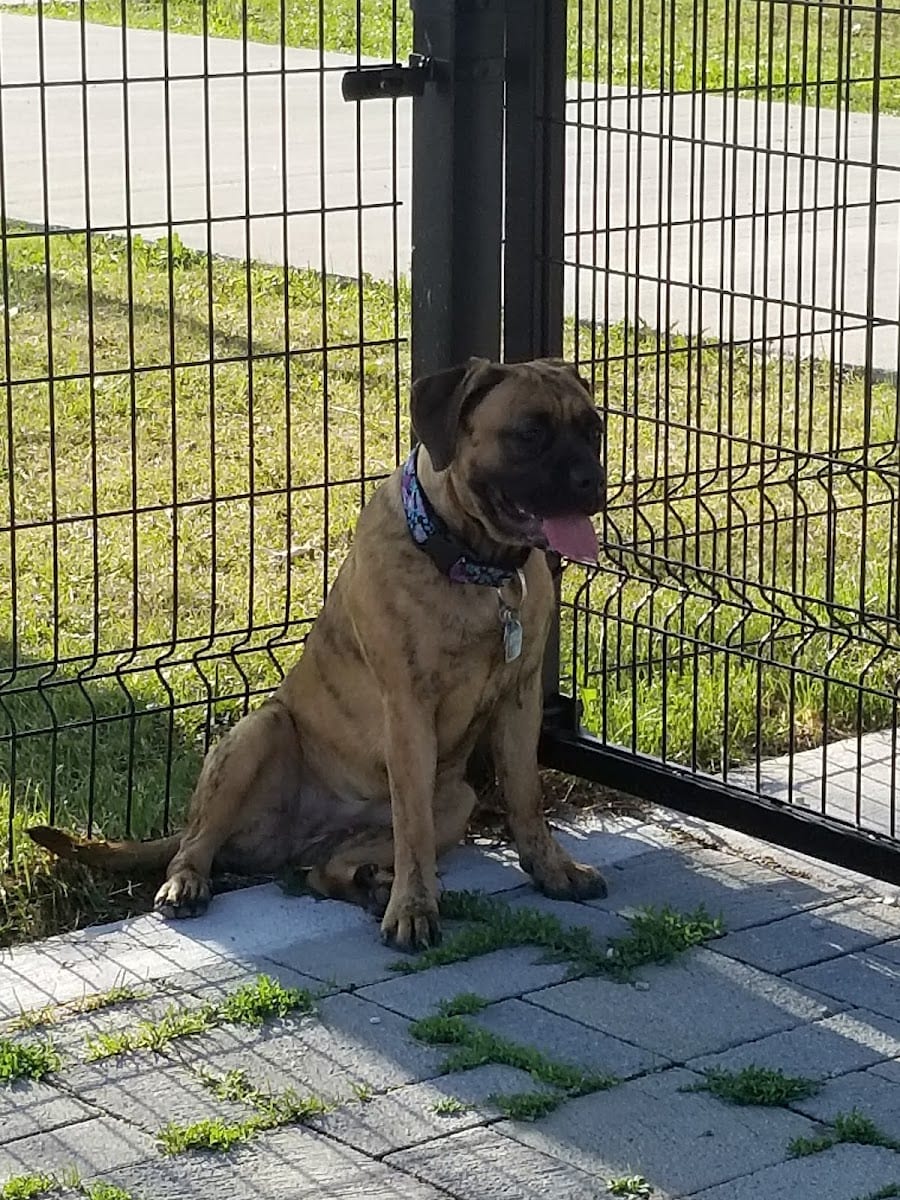 Confederation Dog Park