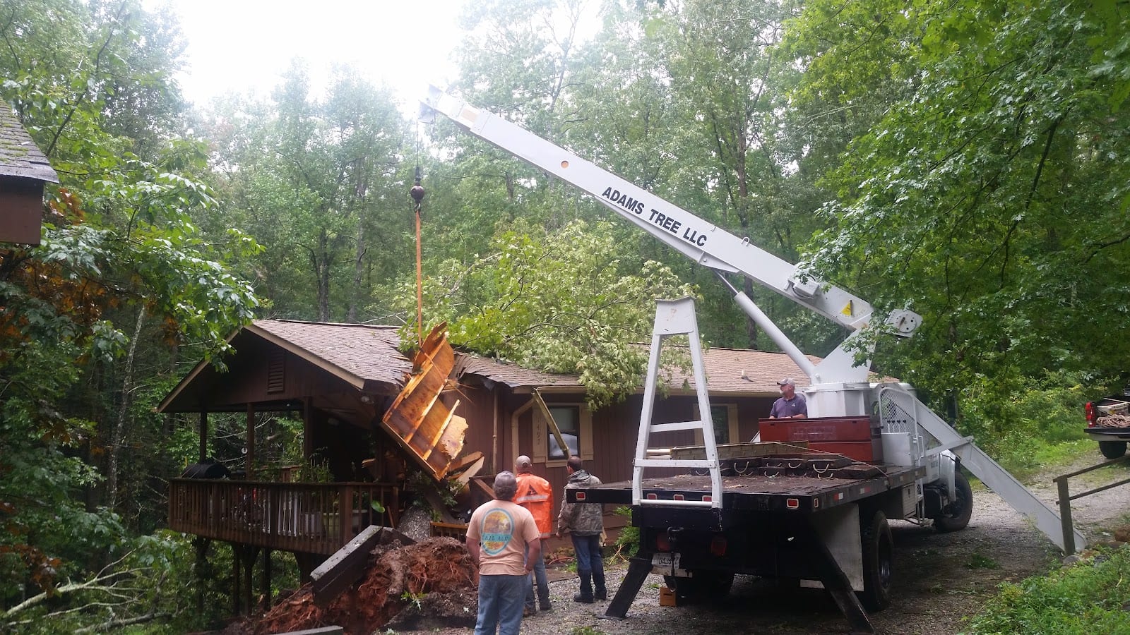 Adams Tree LLC