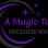 A Magic Touch Pressure Washing LLC