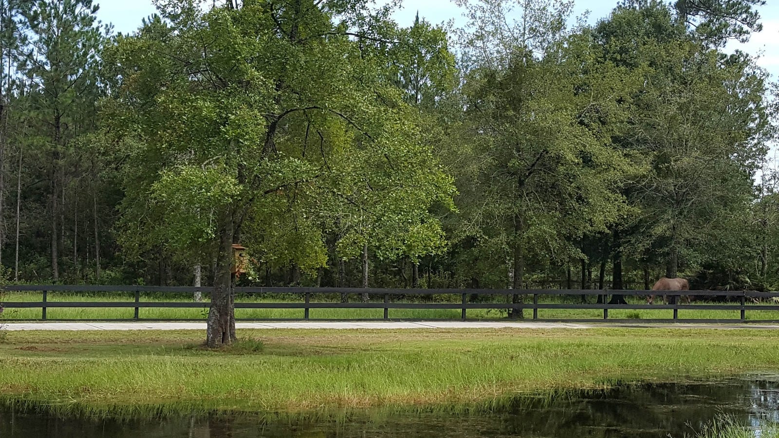 Buddy Bee's Outdoor Services, photo 2
