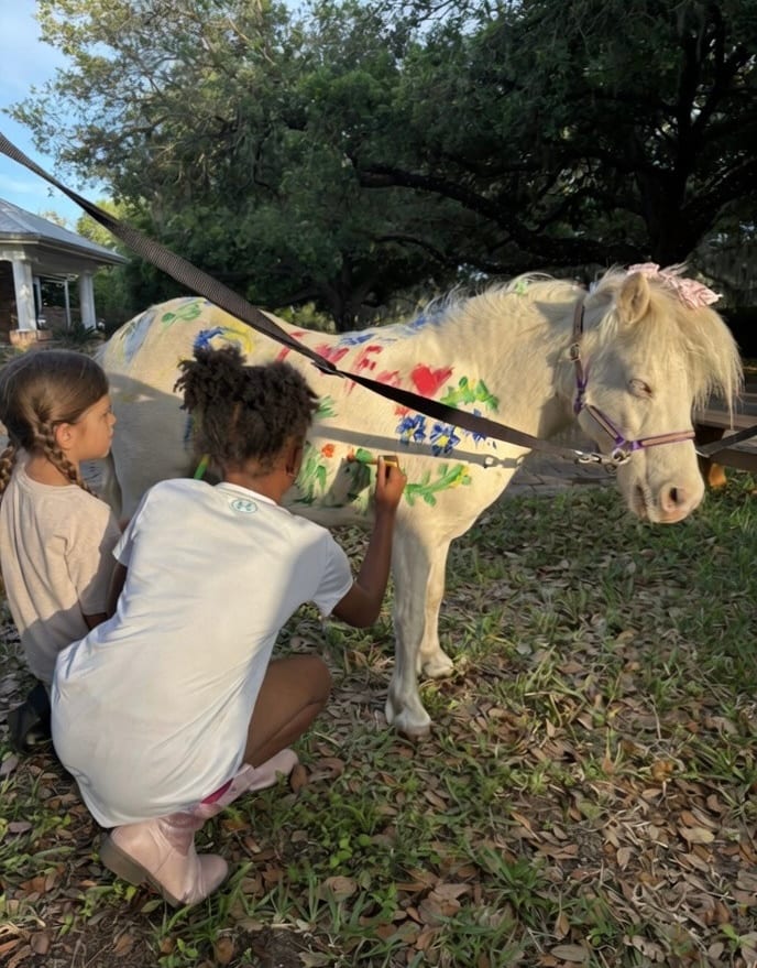 The Painting Pony LLC