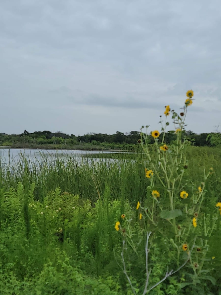 Stewart Creek Wetlands