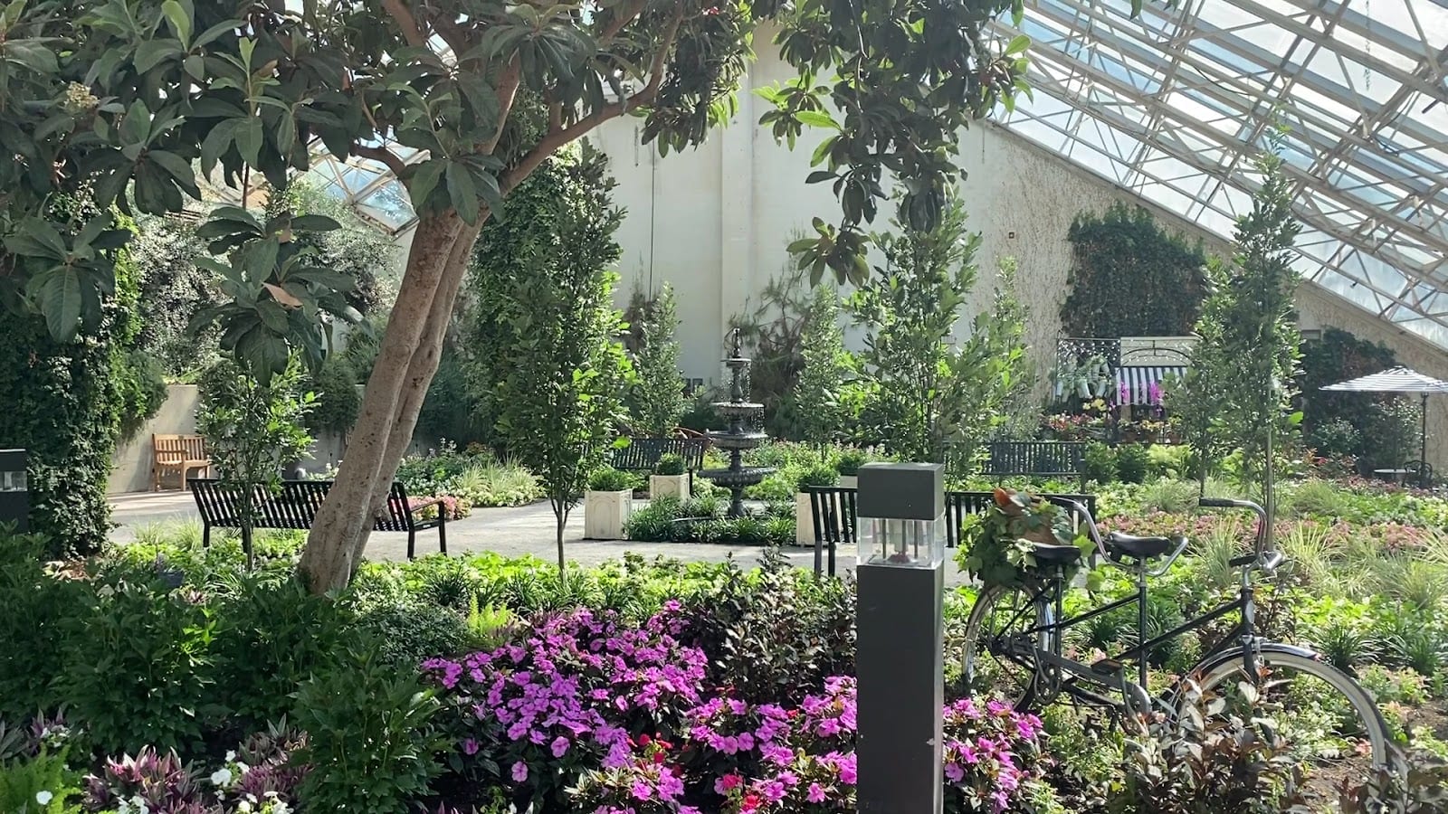Foellinger-Freimann Botanical Conservatory, photo 3