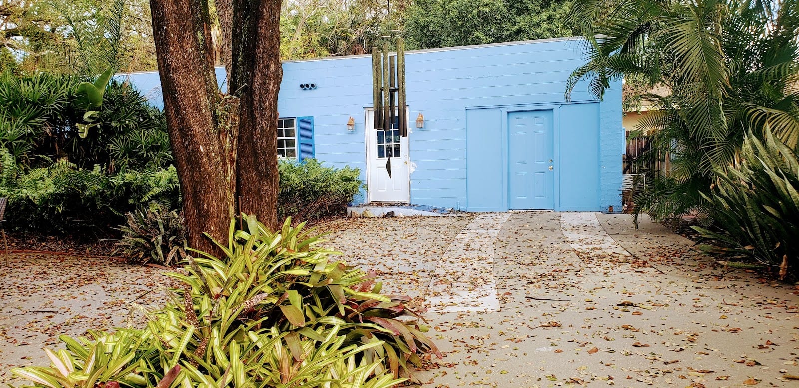Mellow Manatee Wellness, photo 4
