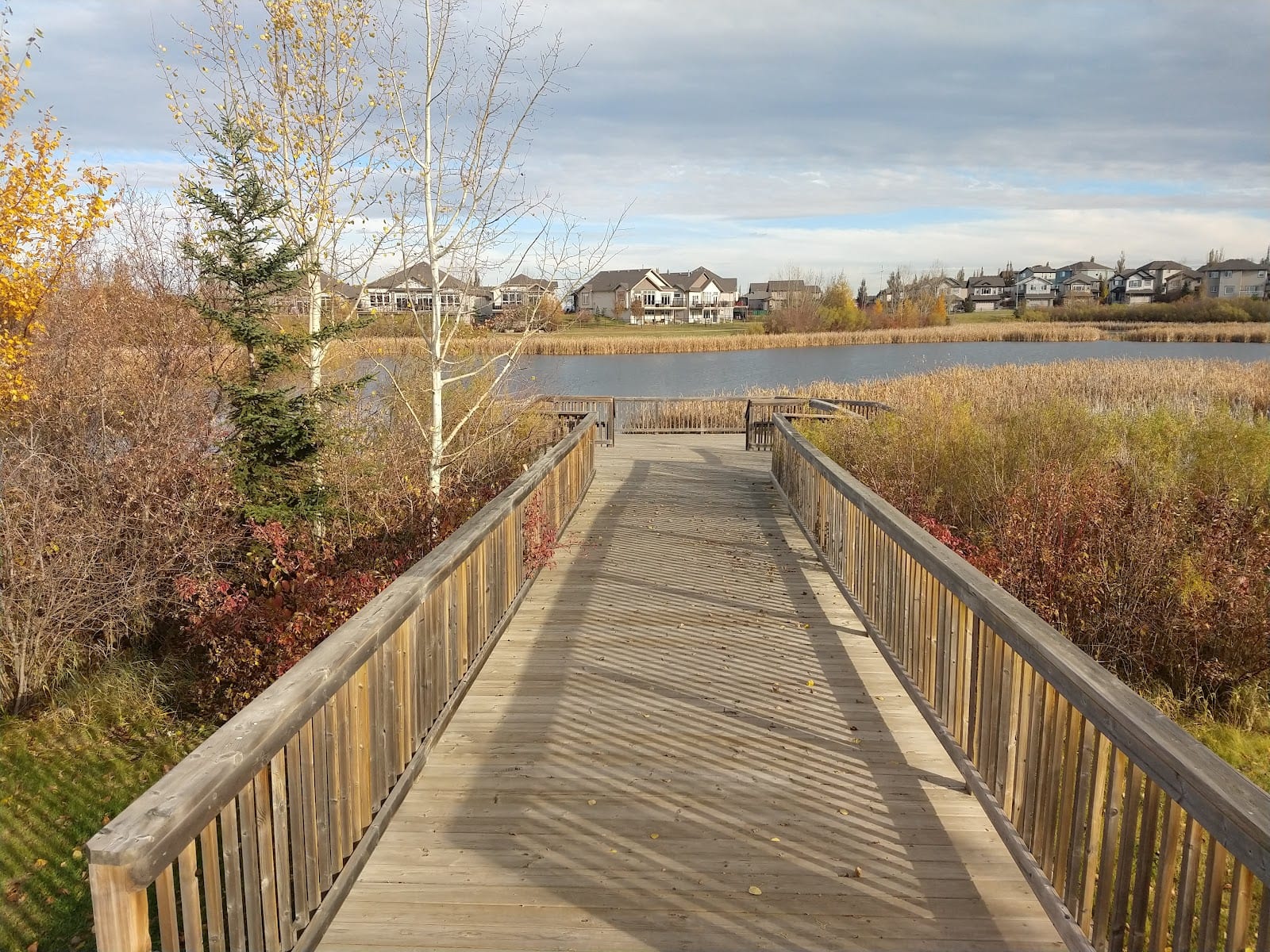 Cascade Park