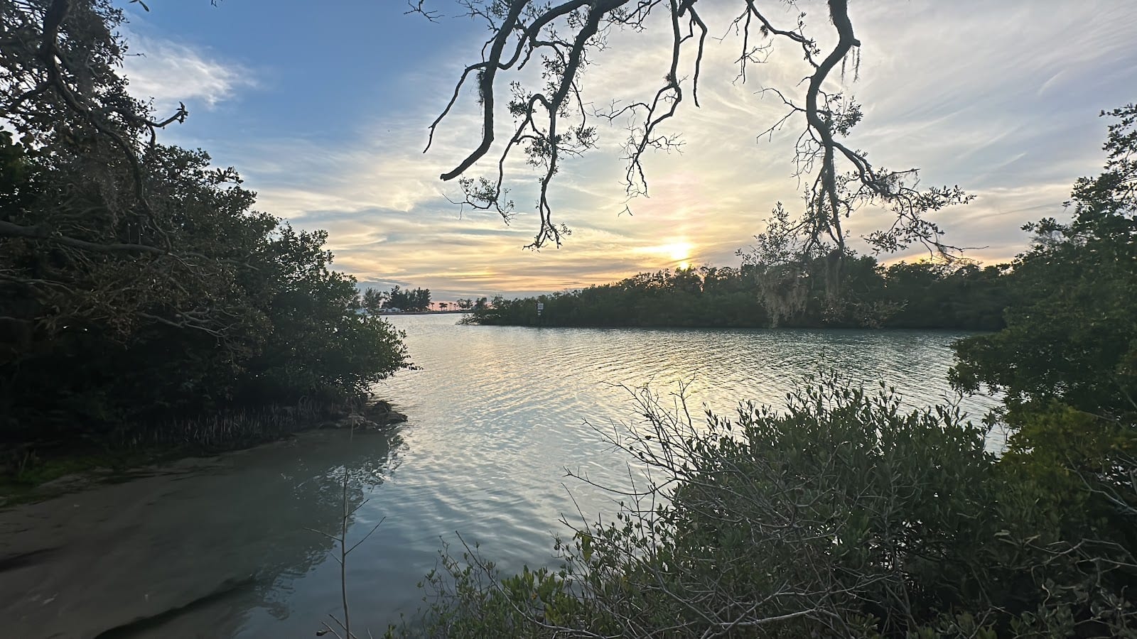 Lyons Bay Park