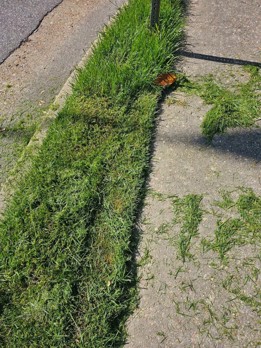 Colonial Gardens Landscaping, photo 3