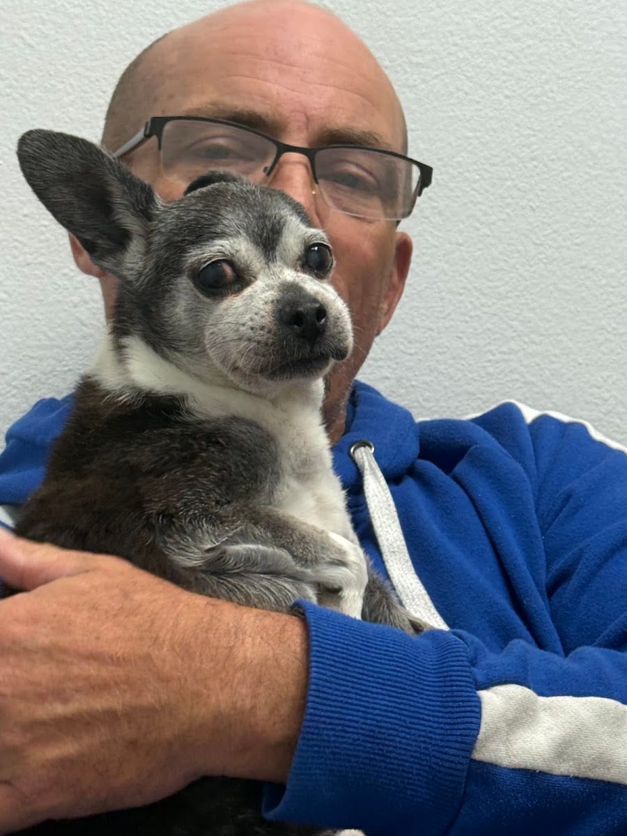 Veterinary Emergency Clinic, photo 4