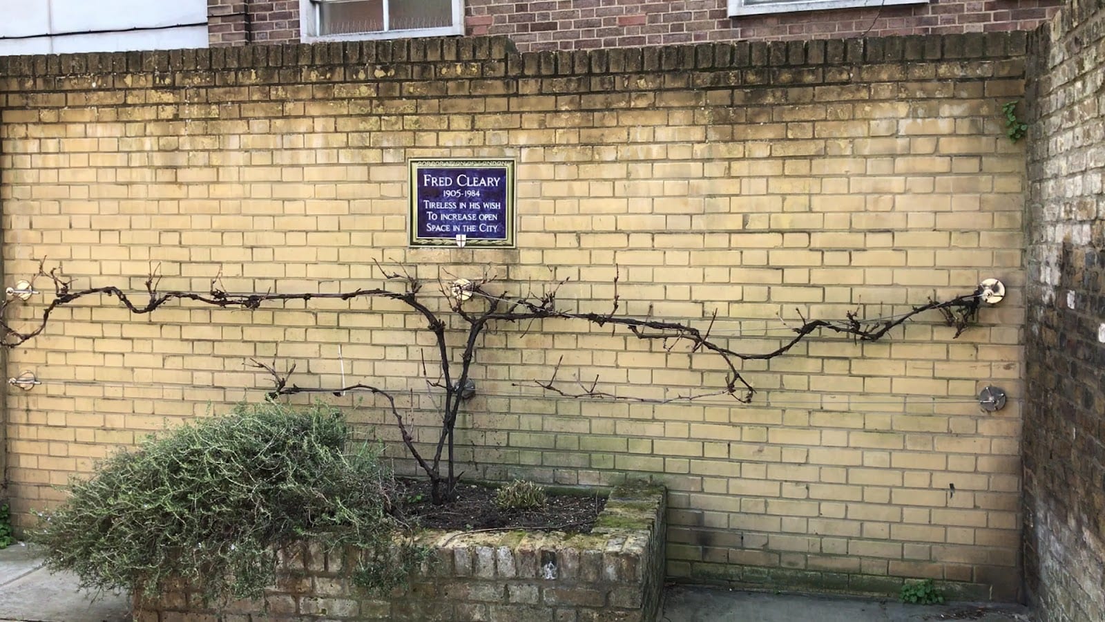 Cleary Garden, photo 2