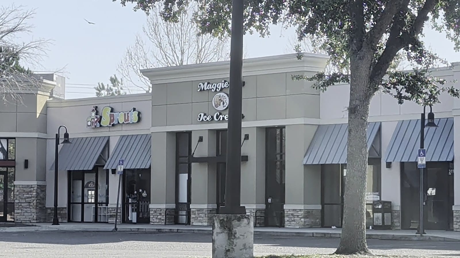 Maggie D’s Ice Cream, photo 2