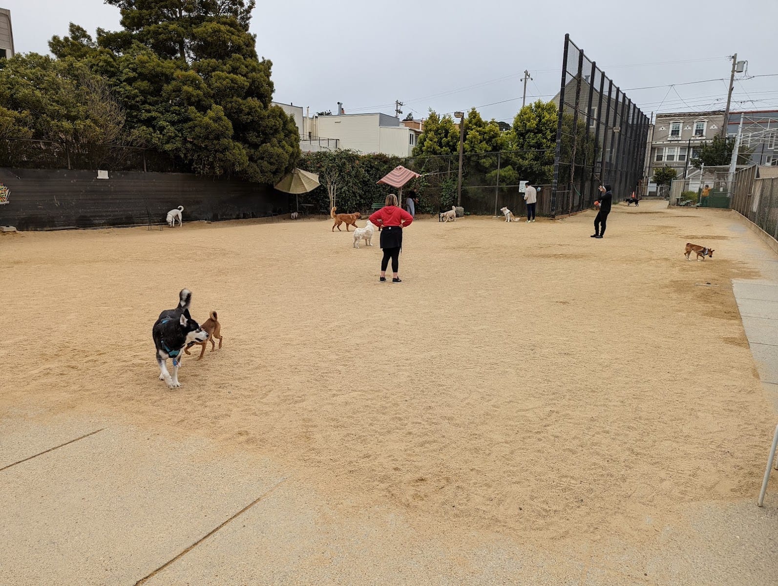 Upper Noe Dog Play Area