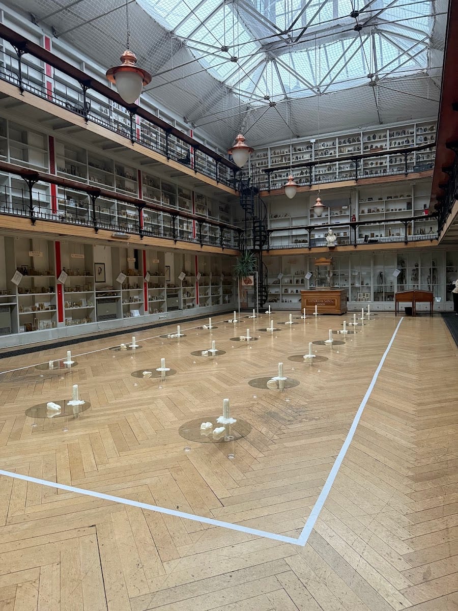 Barts Pathology Museum