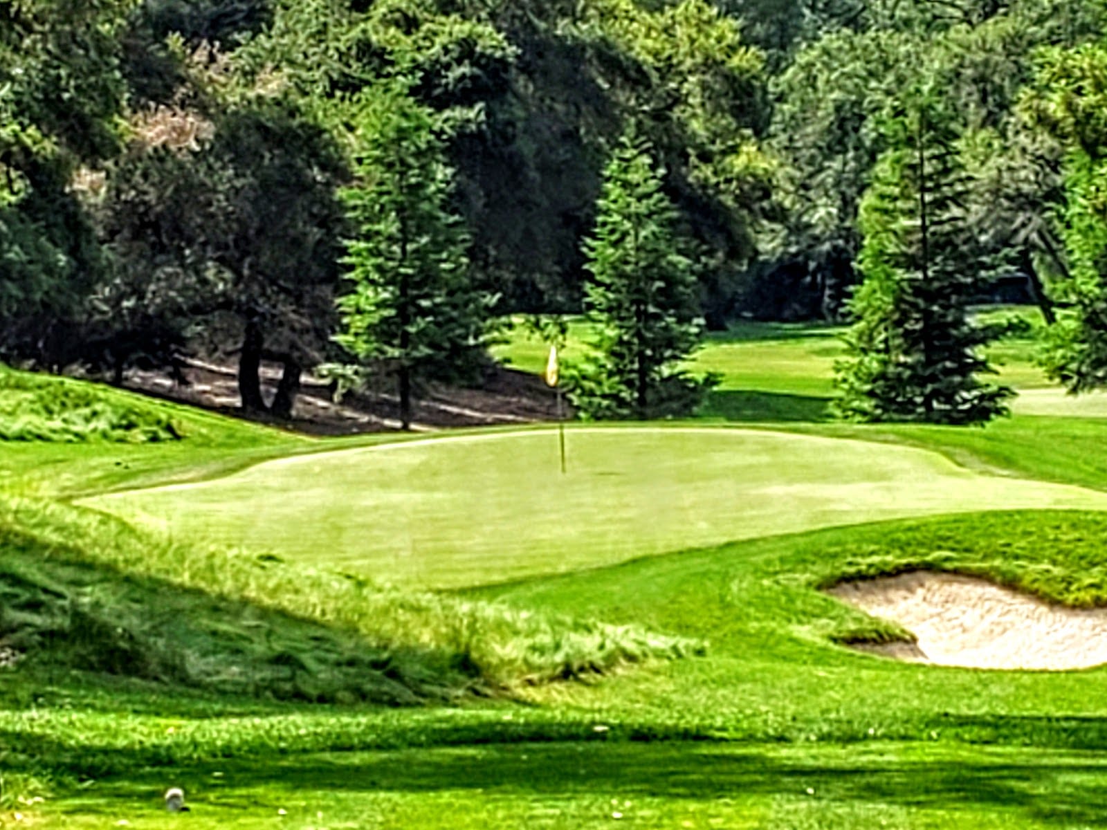 Meadowood Golf Club
