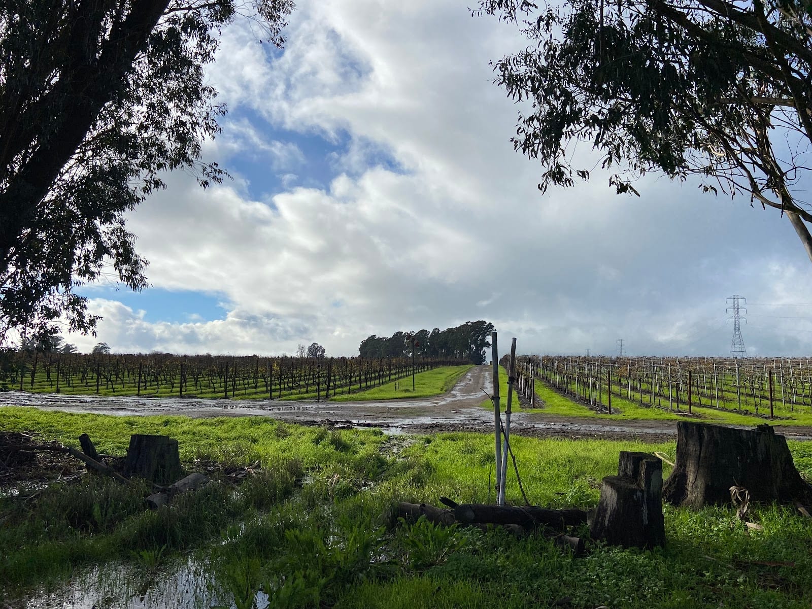 Stanly Ranch Area Public Trails